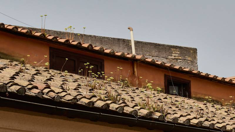dionisio-roof-tetti